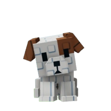 Age 75 pet